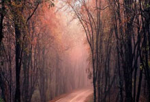 恰20:土耳其希望参加下届世界杯,但目前目标是升入欧国联A级别.