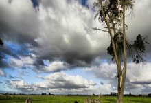 CBA:山西汾酒男篮93-83击败江苏肯帝亚男篮.