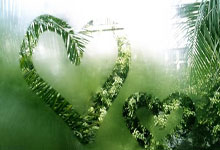 费兰-托雷斯最近四场一共只登场188分钟，打入了五粒进球.