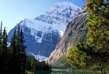 ESPN：FIFA希望引入FVS系统 教练能质疑裁判决定.